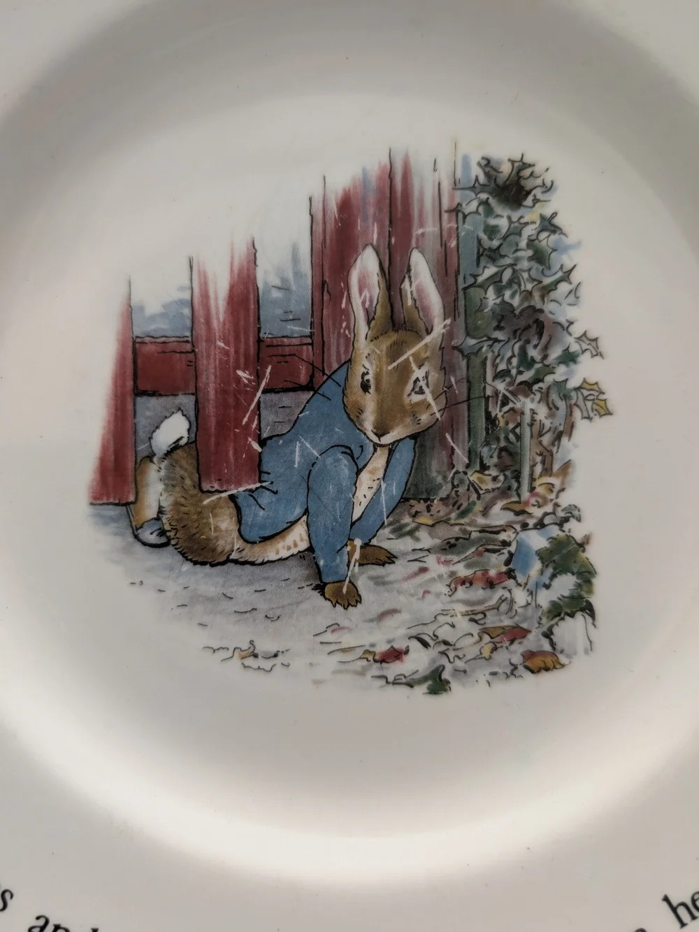 Vtg Wedgwood Peter Rabbit Plate & Bowl Set Beatrix Potter Nurseryware England